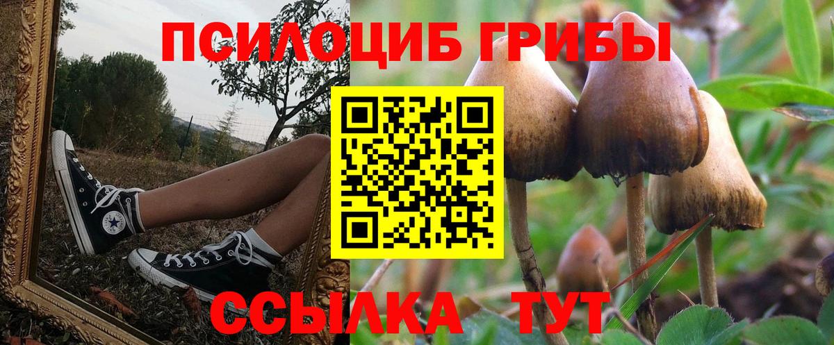 Псилоцибиновые грибы мухоморы  Галлюциногенные грибы GOLDEN TEACHER  Вход с VPN  Нефтекумск 